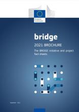 bridge brochure